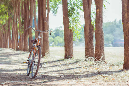 Bicycle in landscapeの写真素材