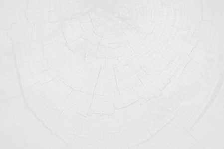 White background wood texture blank for design