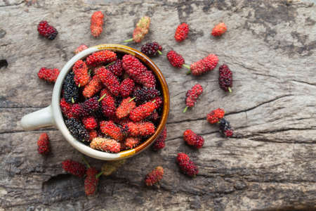 mulberry