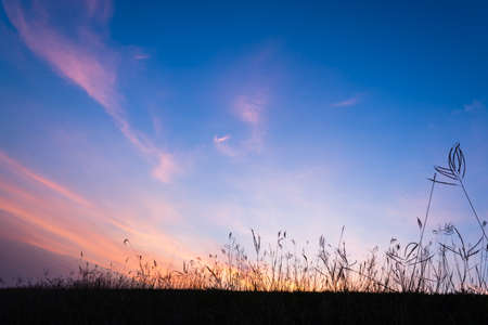 sunset landscape backgroundの写真素材