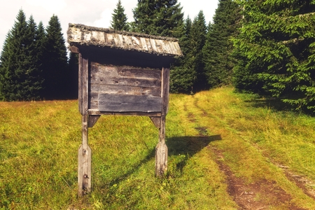 Mountain road sign,made out of wood next to hiking trail.の写真素材