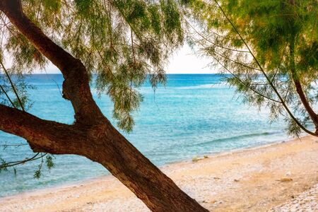 Detail of sandy mediterranean beach.の写真素材