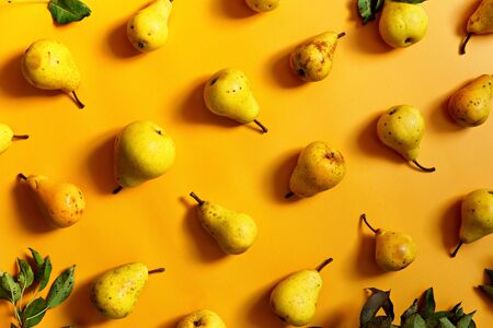 Organic, yellow pears, laid flat inside a pattern, against yellow background.の写真素材