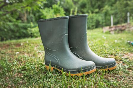 Green, gardening boots made of rubber, inside the garden.