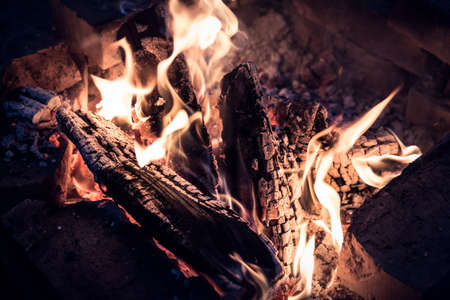 Close up of burning wood logs inside the camp fire.