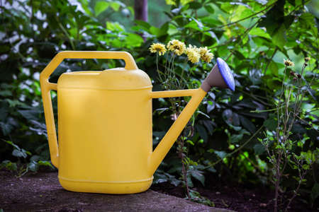 Close up of yellow, water gardening bucket inside the garden.の写真素材