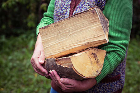Close up of senior woman hands, holding wood logs for fire.の写真素材