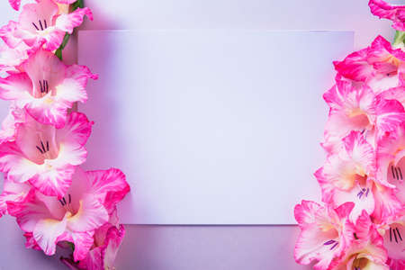 Empty white gift card, surrounded with gladiolus flowers, on top of purple background.の写真素材