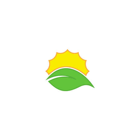 Photosynthesis, sun and plant. Vector icon templateのイラスト素材