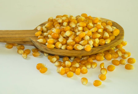 corn for popcorn in wooden spoon on isolate background.の写真素材