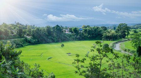 Green fields and the blue sky.の写真素材
