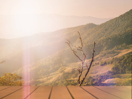Empty brown wooden table. Mountain design with forest and empty display. Space for your montageの写真素材