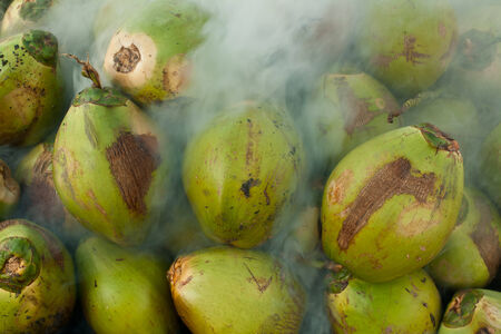 the fresh coconuts from the garden to   burn