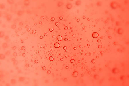 The drop on the pane of glassの写真素材