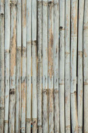 The background from line up of bambooの写真素材