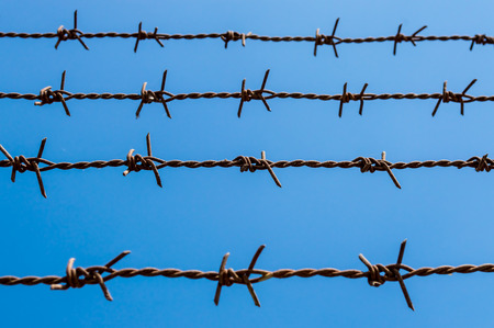 The rusty barbed wire fence and blue backgroundの写真素材