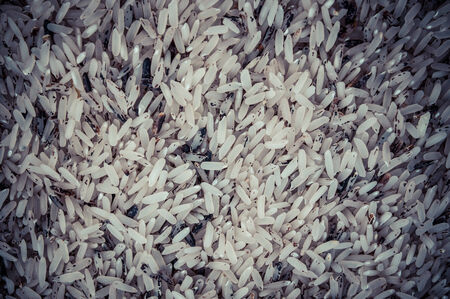 Rice, The most export product of Thailandの写真素材