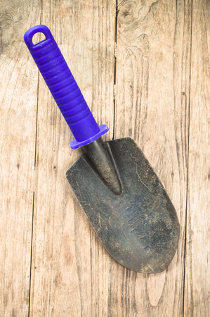 spoon spade shovel,gardening tools or agriculture toolsの写真素材