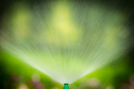 Water from sprinkler in the public parkの写真素材