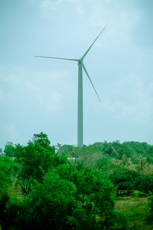 The wind turbine generator,the renewable energy