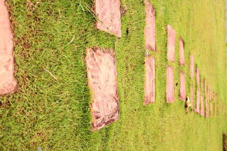 Boardwalks の写真素材