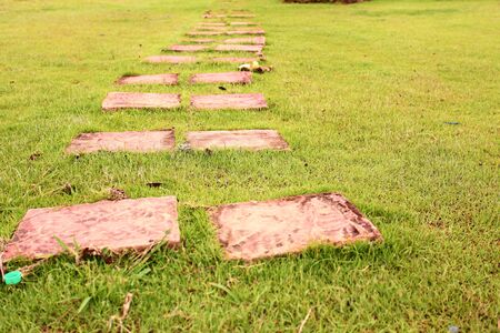 Boardwalks の写真素材