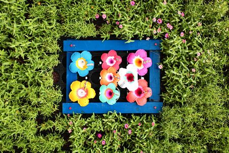 color of flower backgroundの写真素材