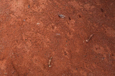 brown background