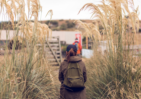 Hikers with backpacks walking through a meadow with sedge
