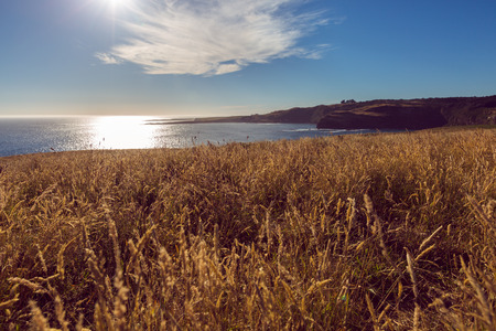 Magnificient view over the southern ocean, Slope Point, The Catlins,  New Zealand