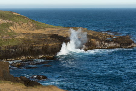 Magnificient view over the southern ocean, Slope Point, The Catlins,  New Zealandの写真素材