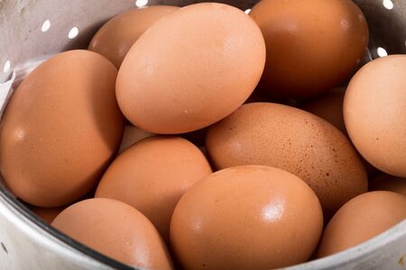 close up image of eggs in bucket