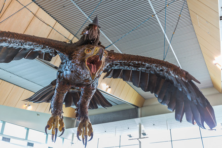 Wellington, New Zealand - September 3: Sculpture of Gandalf the Grey on a Great Eagle display in Wellington international Airport on September 3, 2014 in Wellington, New Zealandのeditorial素材