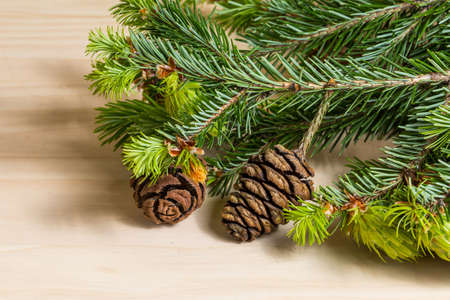 Pine branch and cone on wooden background