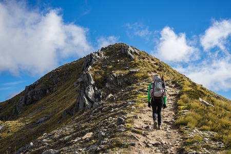 Woman hiker walking on an alpine section of the Kepler Track, one of the New Zealand Great Walksの写真素材
