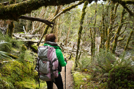 Woman hiker walking in the forest on Kepler Track, New Zealandの写真素材