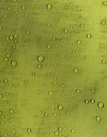 Rain water drop on green tentの写真素材