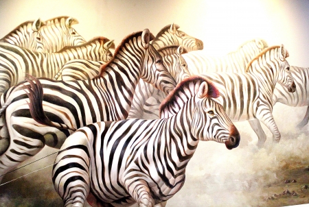 The zebras running away の写真素材