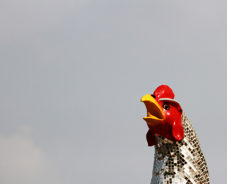 The chicken head on sky backgroundの写真素材