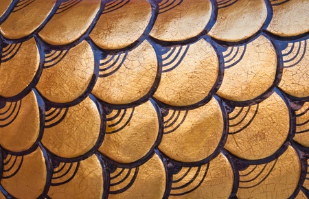 The body of a gold dragon background textureの写真素材