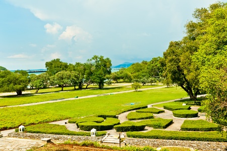Walking in a park with trees all aroundの写真素材