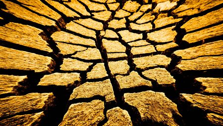 Barren ground  Exposed to ultraviolet light from the sunの写真素材