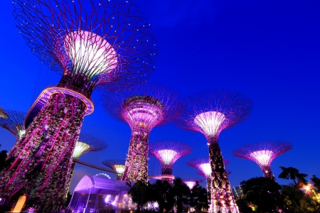 Super Trees at Singapore Gardens by the Bay のeditorial素材