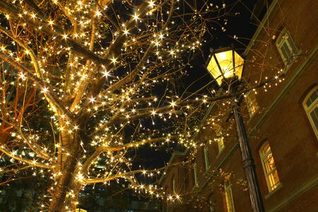 Tokyo Metropolitan Government at night view in Tokyo, Japan.のeditorial素材