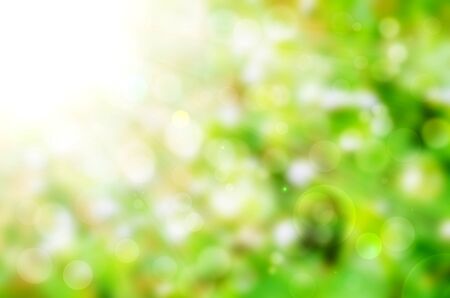 Beautiful Nature Bokeh.Blurred background の写真素材
