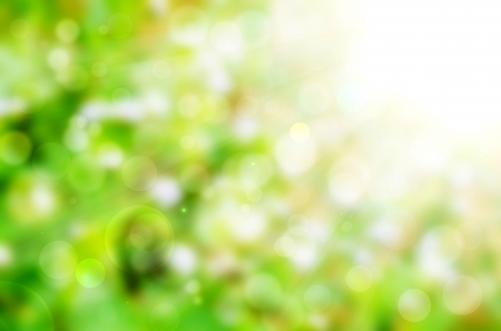Beautiful Nature Bokeh.Blurred background の写真素材