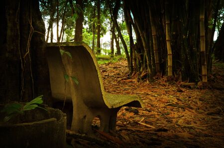 lonely bench in a park waiting for visitors  の写真素材