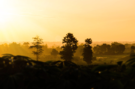 Autumn fog and the beautiful morning sun in a landscape の写真素材