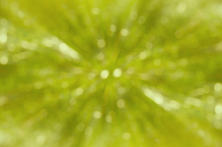 green bokeh abstract background. の写真素材