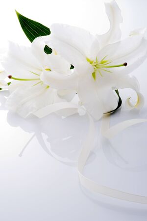 lilyの写真素材